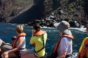 Zodiac cruise around Punta Vicente Roca