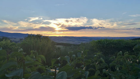 Quick trip to Tuscany, Italy