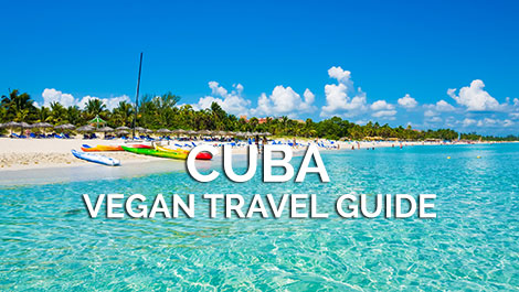 Cuba Vegan Travel Guide