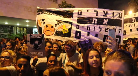 World's Largest March For Animal Liberation - Vegan Traveler Vlog on