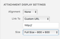 Sizing your photo when adding it to your blog