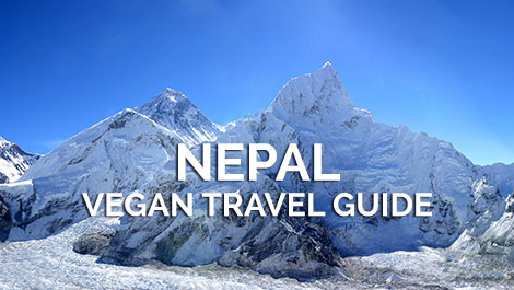 Nepal Vegan Travel Guide