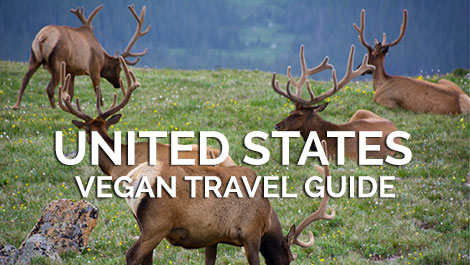 United States Vegan Travel Guide