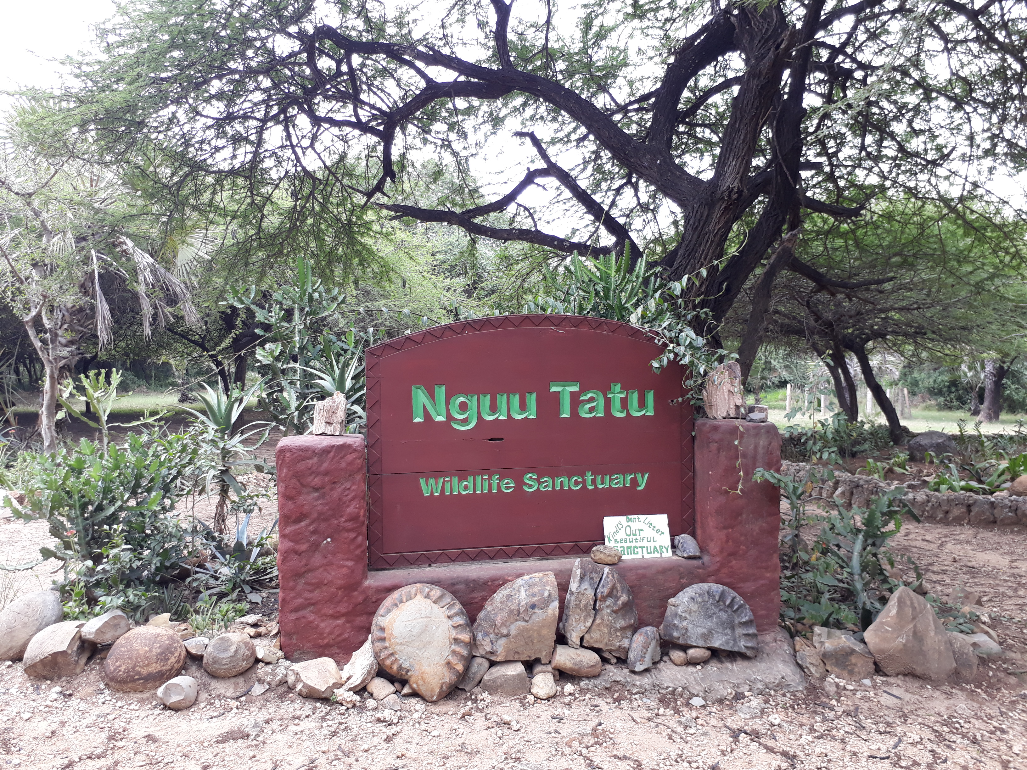 Vegan Travel Mombasa