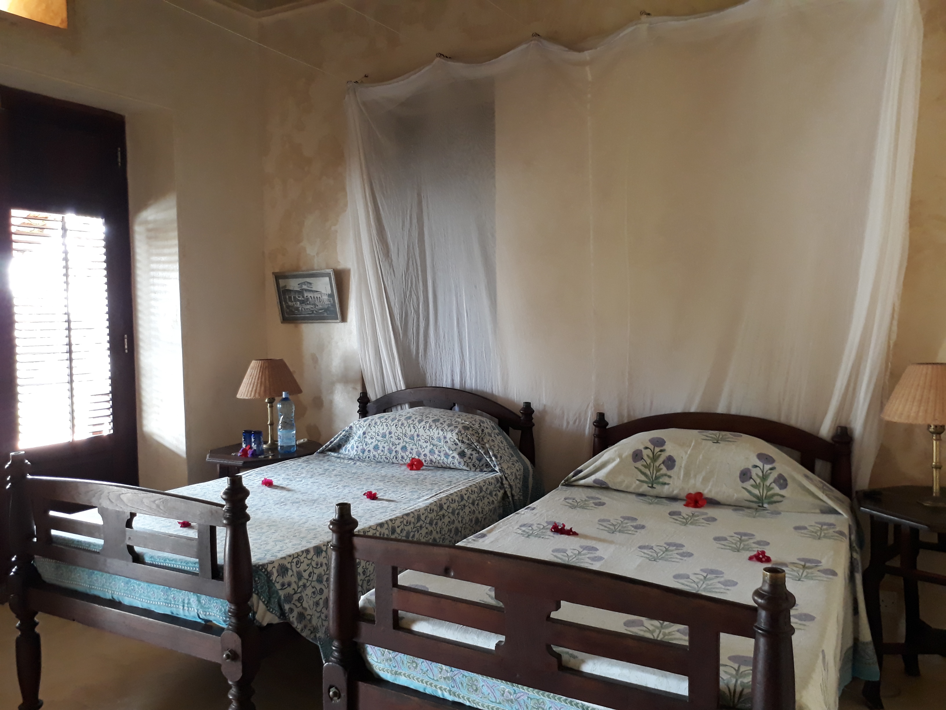 Vegan Travel Lamu