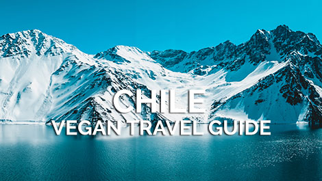 Chile Vegan Travel Guide