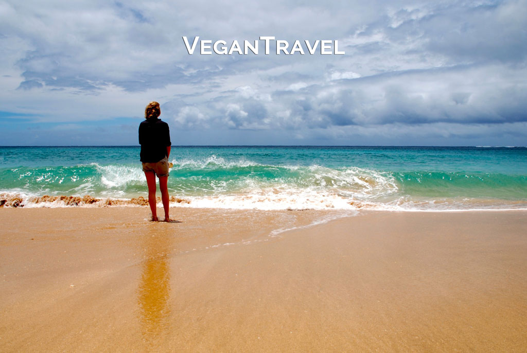 VeganTravel - About Us