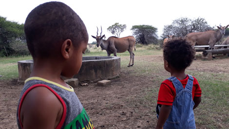 Vegan children in Kenya