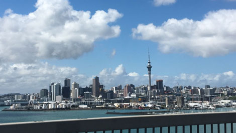 Auckland Vegan Travel Guide