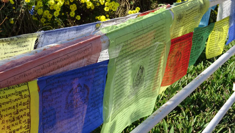 Prayer flags Nepal