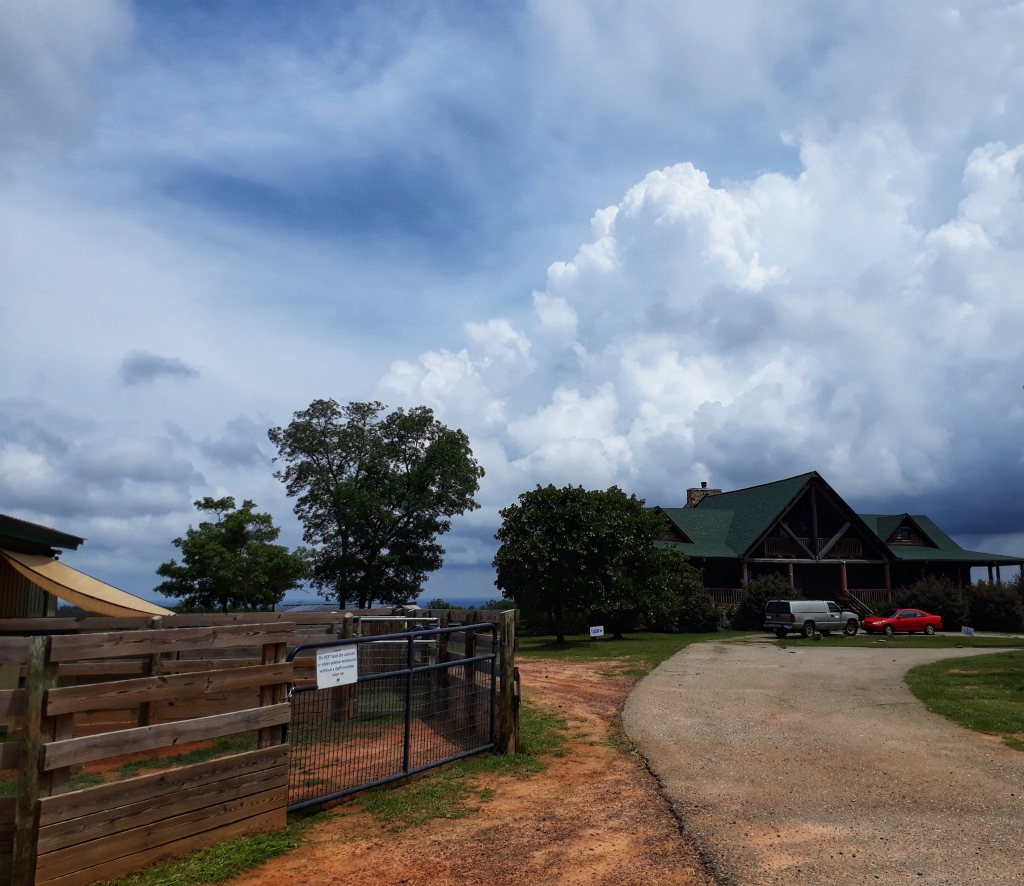 Full Ciircle Farm Sanctuary