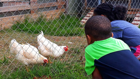 Full Circle Farm Sanctuary