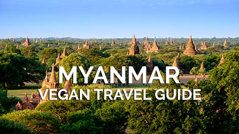 Myanmar Vegan Travel Guide