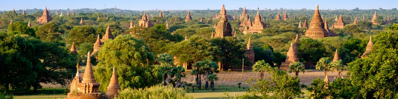 Myanmar Vegan Travel Guide