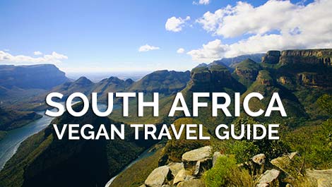 South Africa Vegan Travel Guide