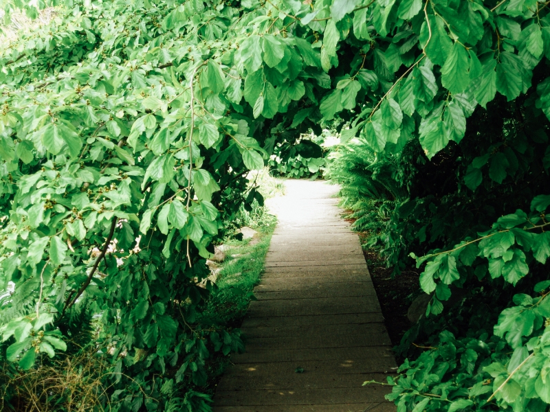 denmark-botanical-gardens