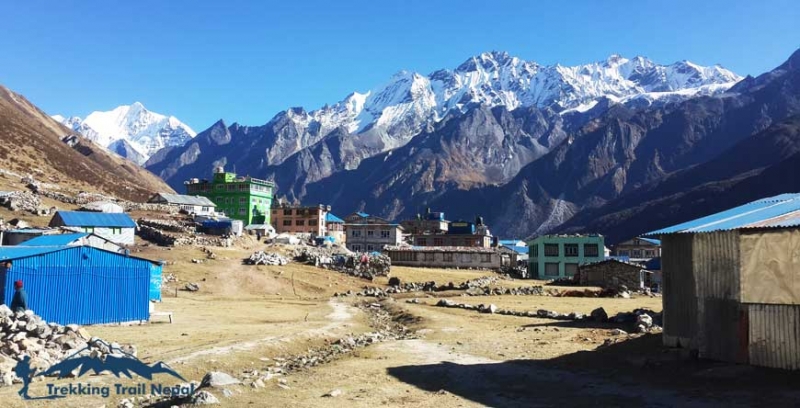 vegan-treks-in-nepal