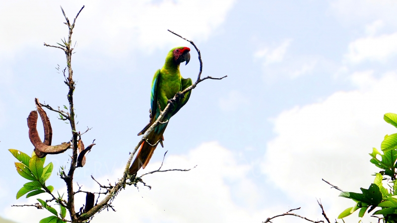 img_9357-3-recuperado